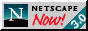 Netscape banner 1996