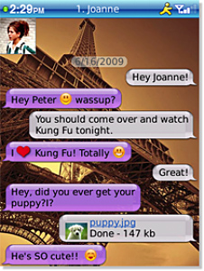 BeejiveIM for BlackBerry in 2011 – Chat