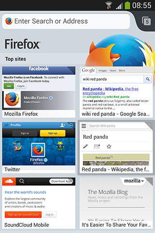 Firefox Browser for Android in 2013