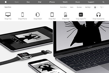 Apple Store website in 2015