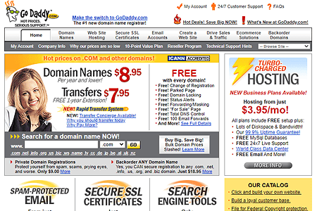 Go Daddy website in 2004