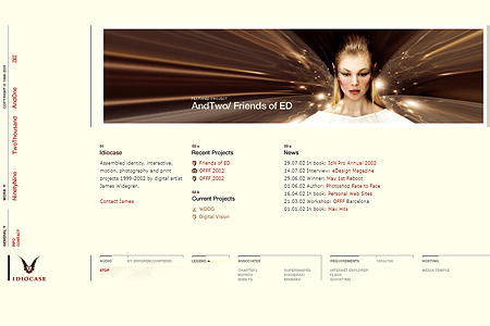 Idiocase website in 2002