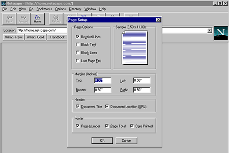 Netscape Navigator 2.01 – Page Setup