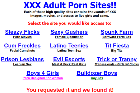 XVideos website in 2003